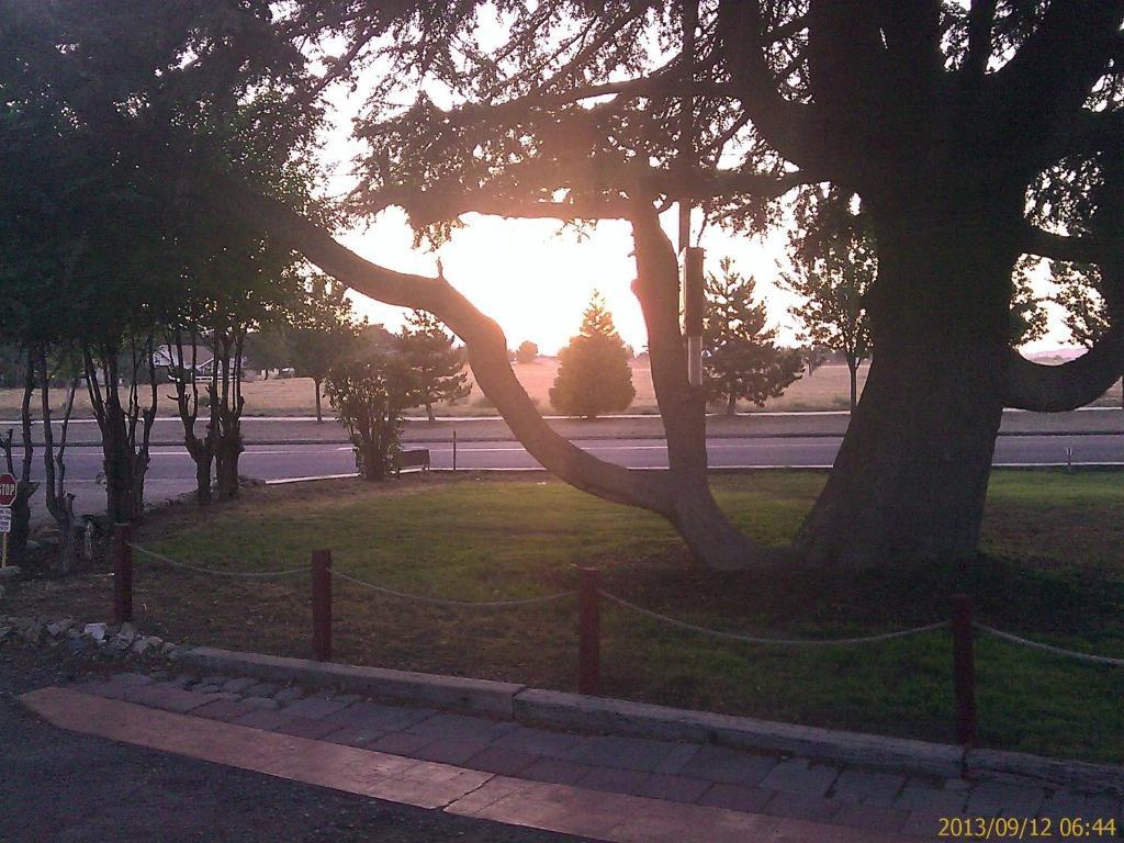 تيهاتشابي Ranch Motel المظهر الخارجي الصورة